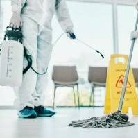 palmera cleaning