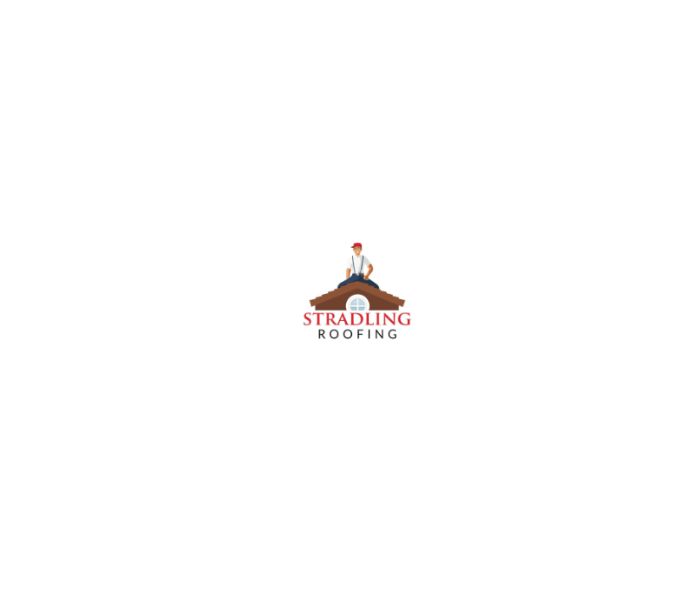 Phoenix Roofing Expert
