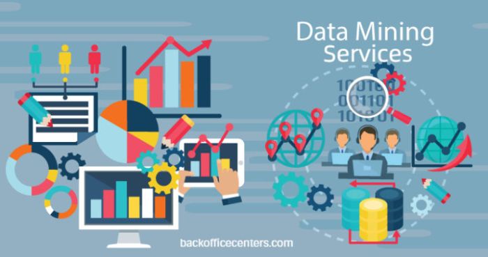 Abacus Data Systems Reliable Data Mining Services