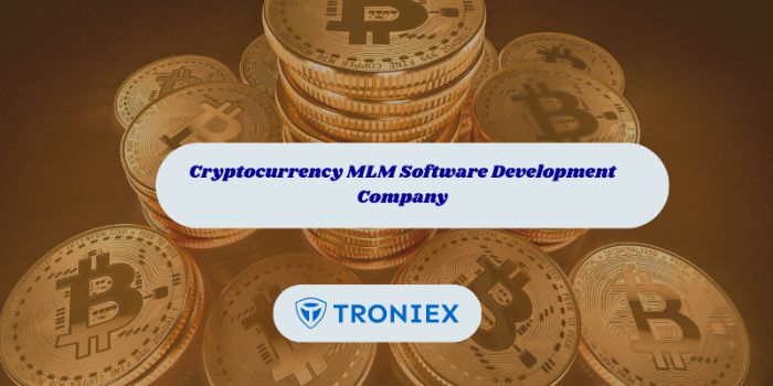 Crypto MLM Software Development Experts at Your Service