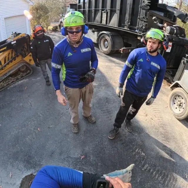 Empire Tree Services Empire Tree Services