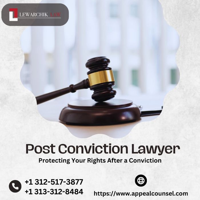 Fight for Justice with a Dedicated Wrongful Conviction Lawyer