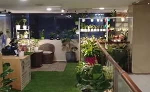 FullService Landscaping Development for Homes Businesses Greenlands
