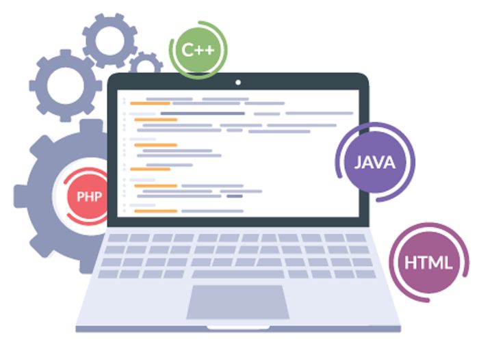 FutureFocused Website Development for Growing Brands