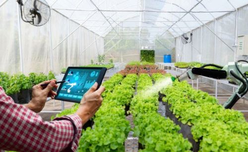 Greenhouse Management Software