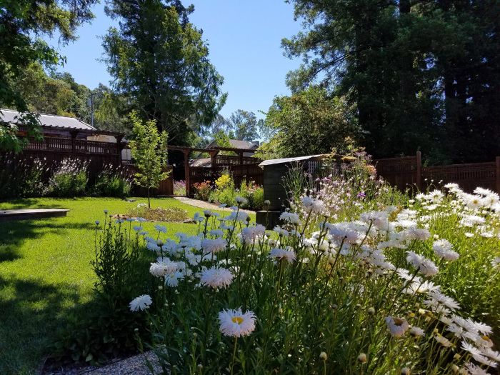 Sonoma County Landscape Maintenance