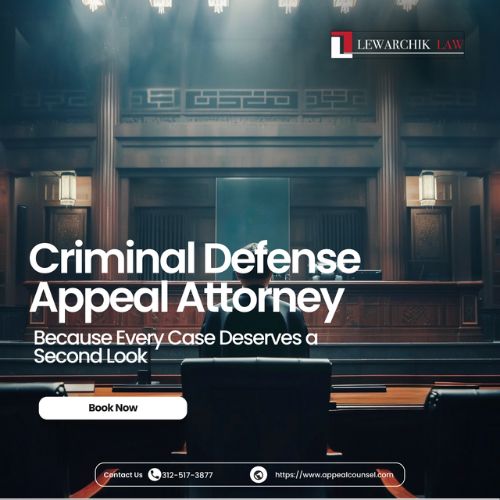 Work with One of the Best Criminal Appeal Lawyers to Defend Your Rights