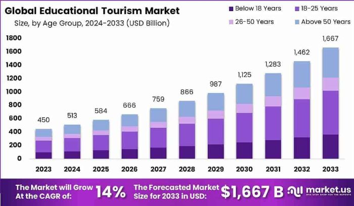 Beyond Borders: Navigating the Global Educational Tourism Wave