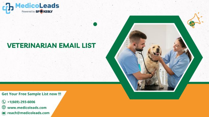 Get HighROI UK Veterinary Email Data 100 ConsentBased