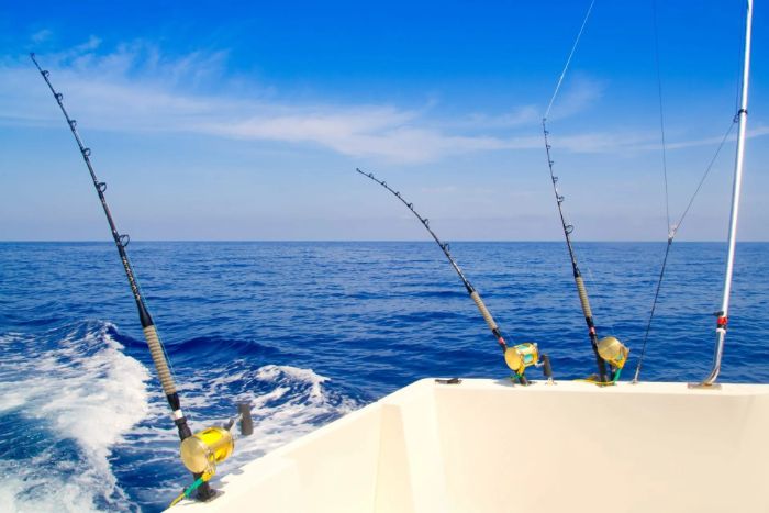 Private 32Foot Boat Adventure in Nassau