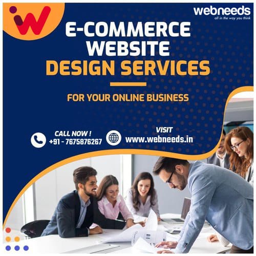 Professional Web Development Services WEB NEEDS