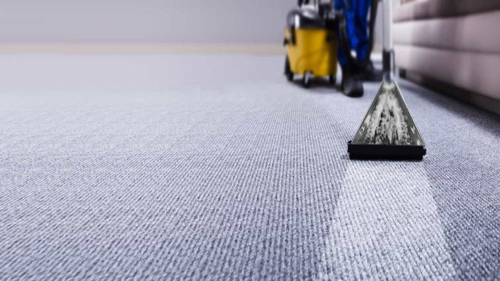 Richmond Carpet Cleaning