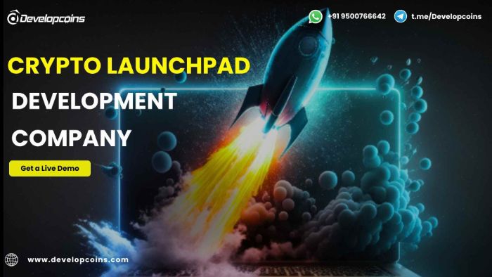 Secure Crypto Launchpad Development for Token Sales