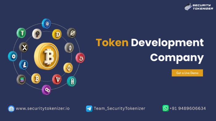 Secure HighPerformance Token Development Services for Global Investors Security Tokenizer