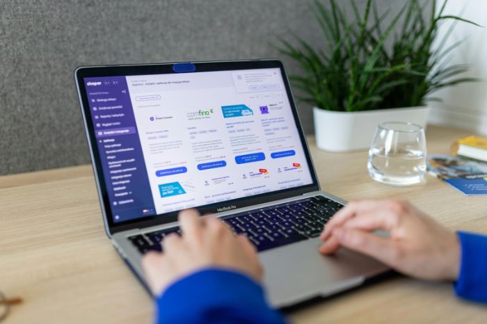 Shopify PPC Management
