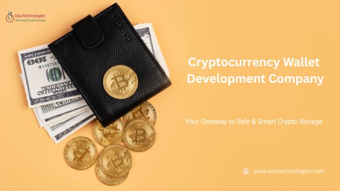 Top Cryptocurrency Wallet Development Company Osiz