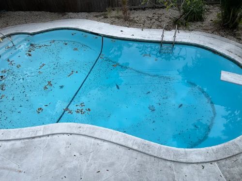 Affordable Pool Cleaning Service in Florida