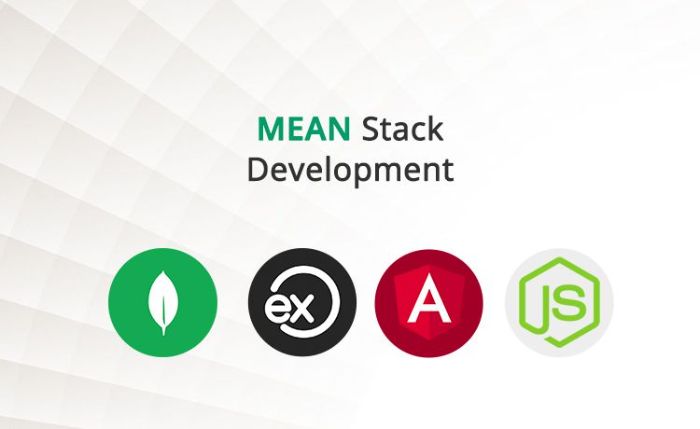 MEAN Stack Development Services MEAN Stack Developers