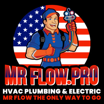 Mr. Flow.pro