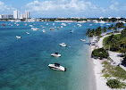 Sandy Lin Charters