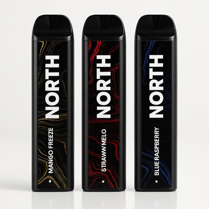 Explore North Vape Easy, Flavorful Portable!