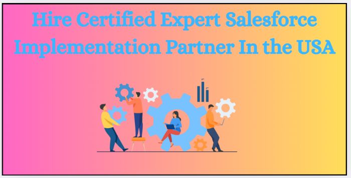 Hire Certified Expert Salesforce Implementation Partner In the USA