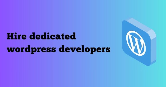 Professional WordPress Experts for Your Website Needs