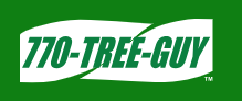 770 Tree Guy