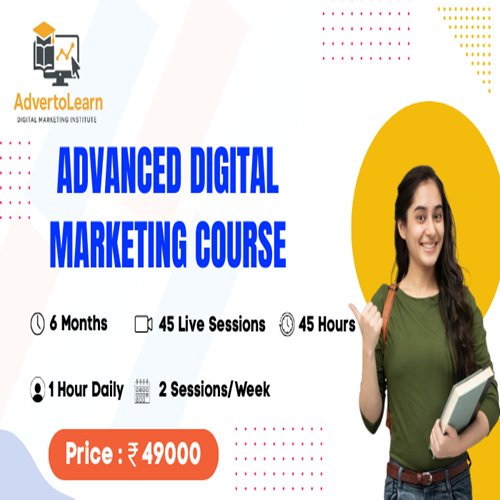 Basic Digital Marketing Course
