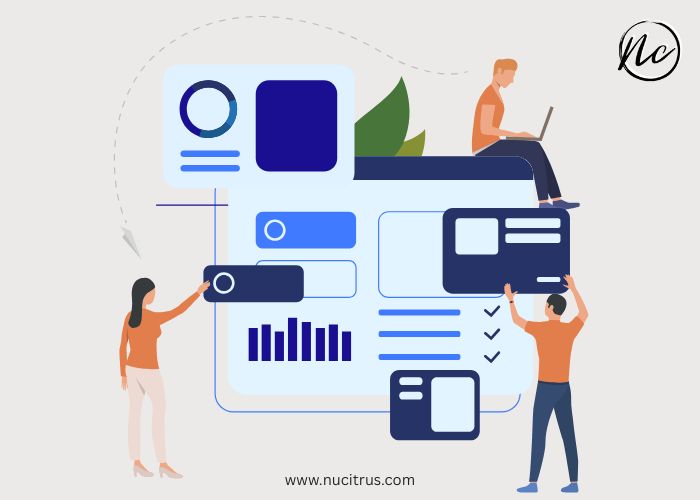 custom wordpress website development
