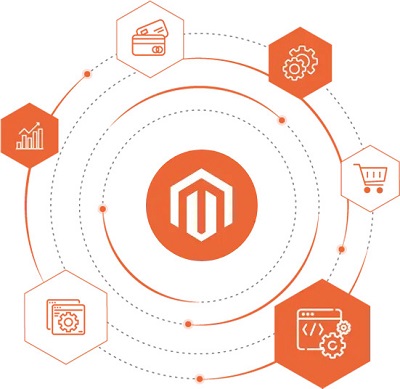 Professional Magento Website Development Services