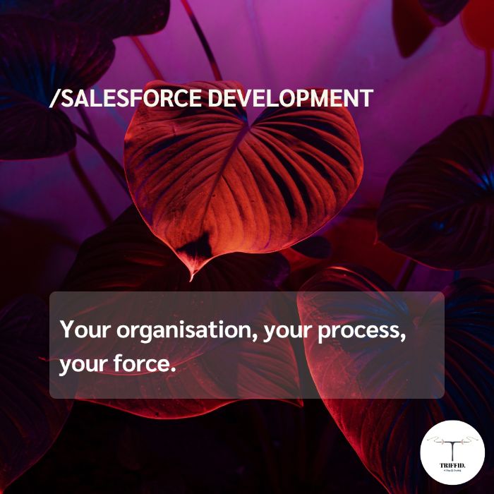 Salesforce Developers