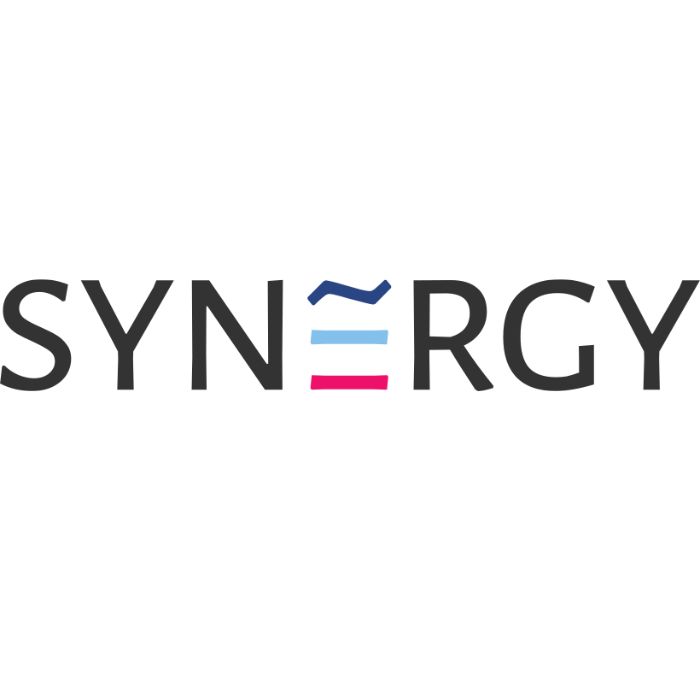 Microsoft Azure Development Cloud Solutions: SynergyIT