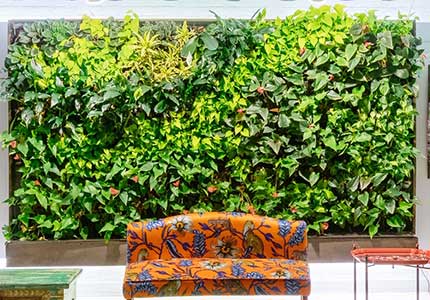 Preserved Green Wall Brooklyn Preserved Green Wall Brooklyn