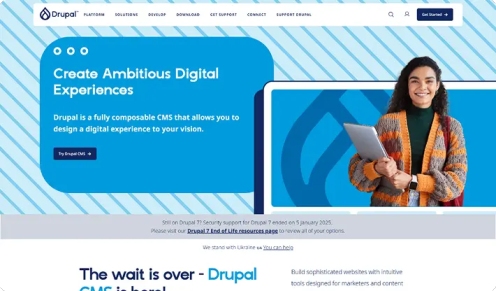 Top Drupal Development Services in USA