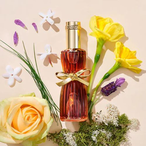 Your Premier Perfume Destination in Chicago