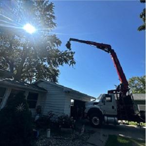 Brawners Tree Service LLC Brawners Tree Service LLC