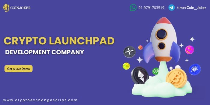 Custom Crypto Launchpad Development Offering Secure Scalable Platforms