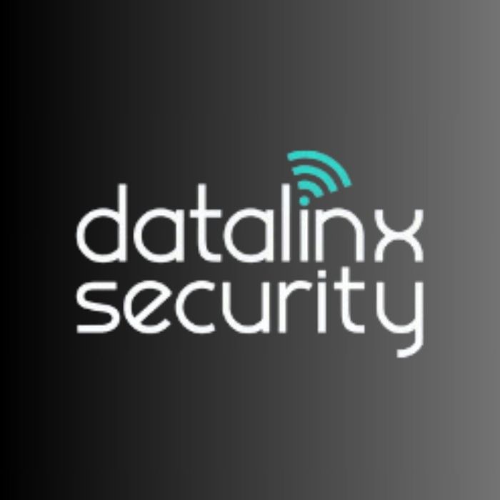 Datalinx Security Top Notch Security Safety and Security