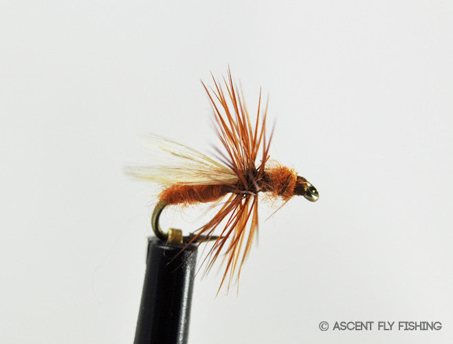 Flying Red Ants: Natures Fly Fishing Secret