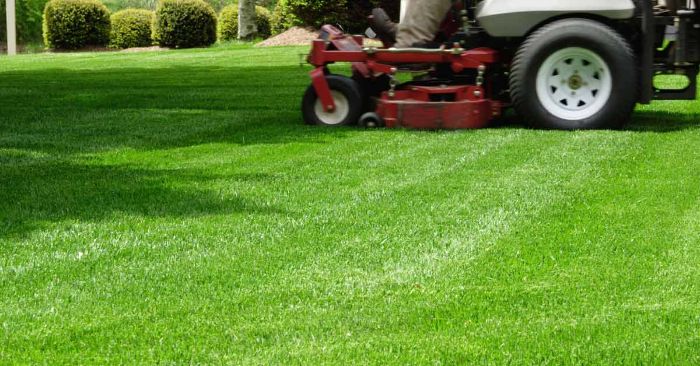 MN Landscaping Services LLC
