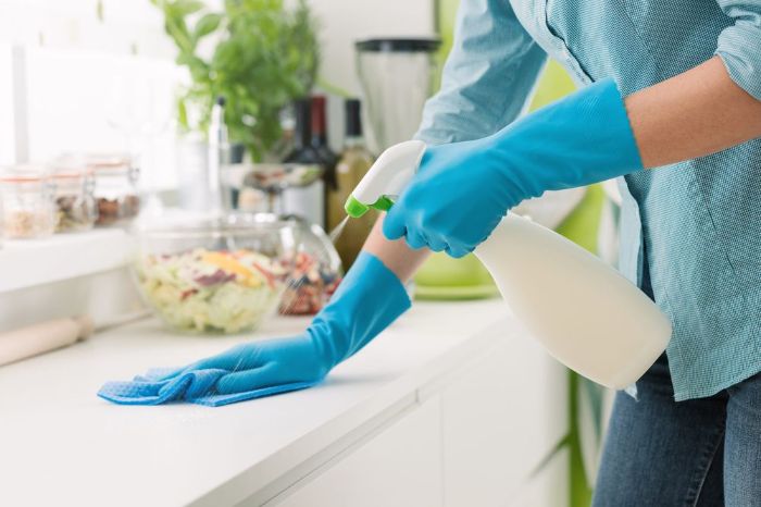 Moniques Cleaning LLC