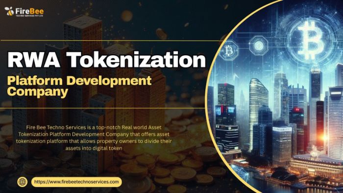 Real World Asset Tokenization services, RWA Tokenization platform, Asset Tokenization Services, real world asset tokenization platform development, Real World Asset, Digital Asset Tokenization service