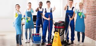 Cleaner Job