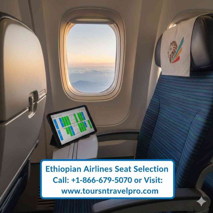 Ethiopian Airlines Seat Selection Made Simple Call 18666795070