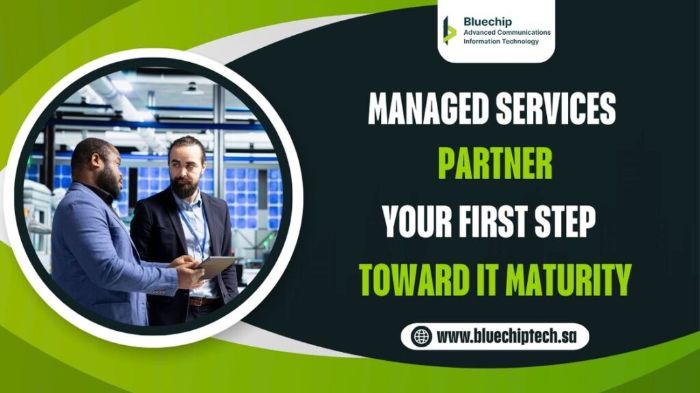 Managed Services Partner Your First Step Toward IT Maturity