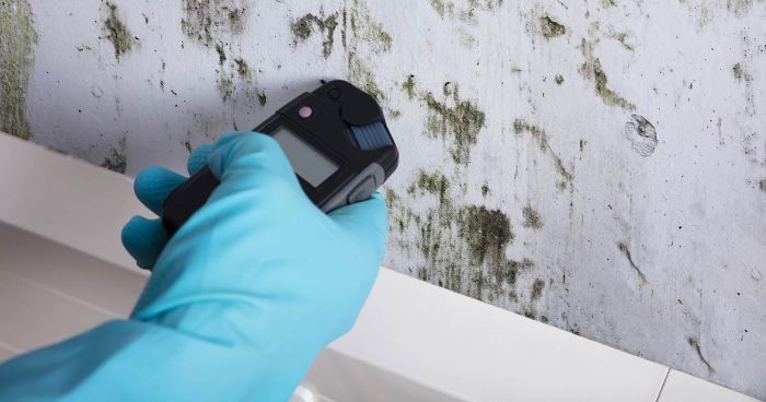 Mold Testing: Detect Hidden Mold Early