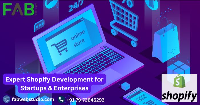 Professional Shopify Development for Startups Enterprises