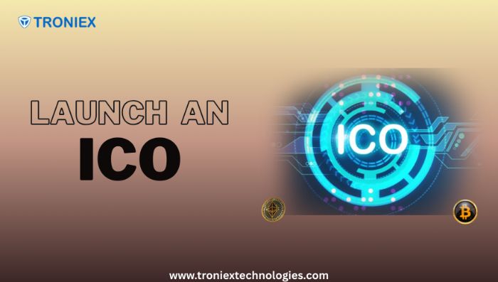 Startups: Build and Launch ICO Platforms Easily