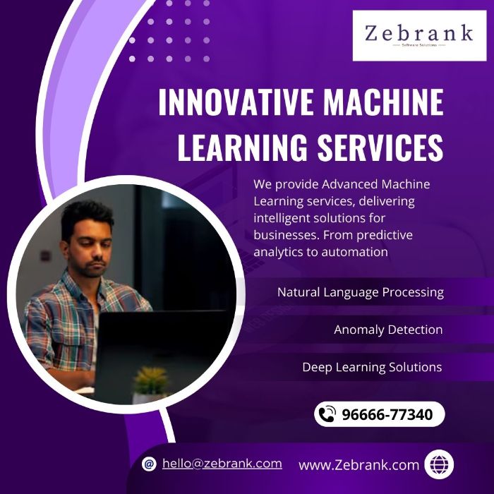 Zebrank software development services